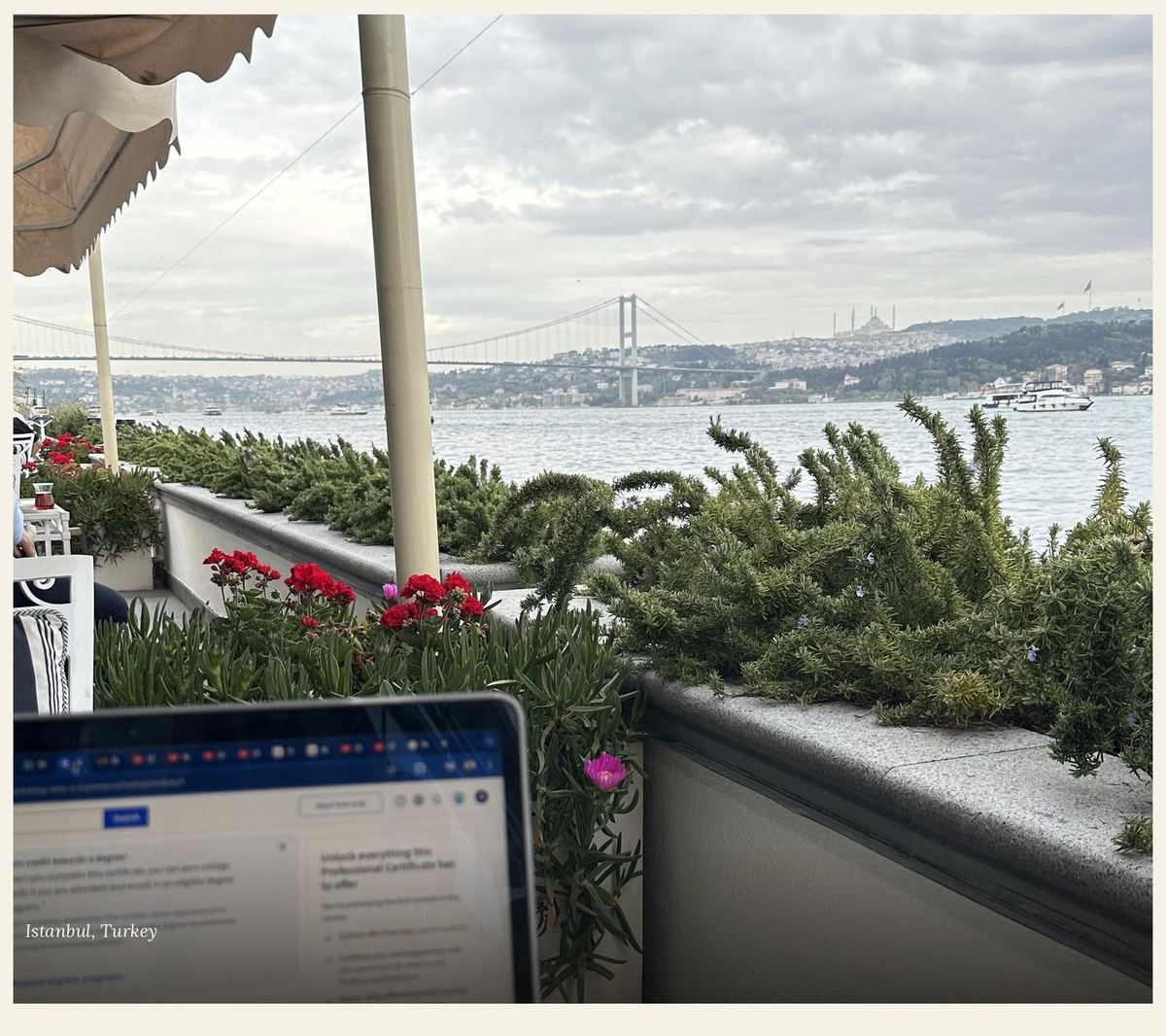 Systems built across a multi country office network